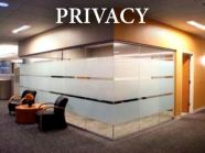 privacy film